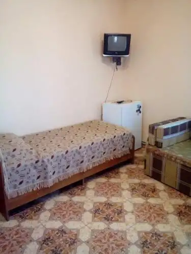 Инжир - 16