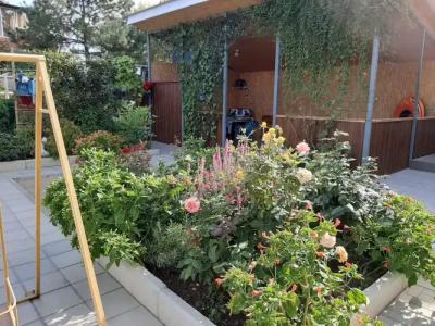 Отдых у моря - 0