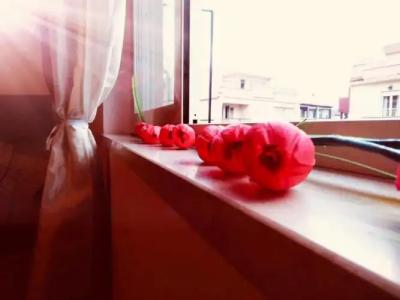 b & b da Jasmine - 15