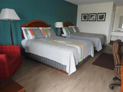 Edelweiss Inn - 60