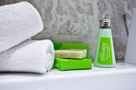 Holiday Inn Gaziantep, An Ihg - 7