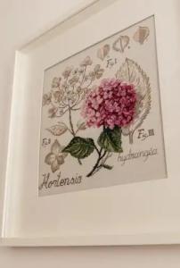 Понка-Хаус - 3