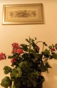 Понка-Хаус - 16