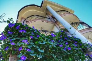 Stone Hill Hotel, Айвалык
