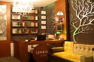 Senatus Hotel - Special Class, Стамбул