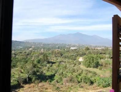 Case Vacanze Residence Trinacria - 95