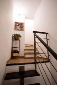 Quattro Incanti - 14