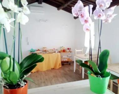 Quattro Incanti - 17