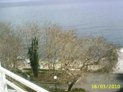 Family White House - 30