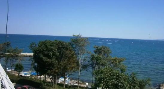 Family White House - 13