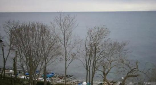 Family White House - 16