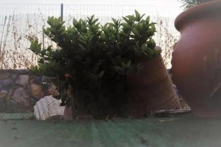 Olympus Studios - 46