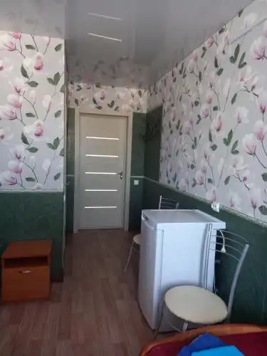 Родничок - 41