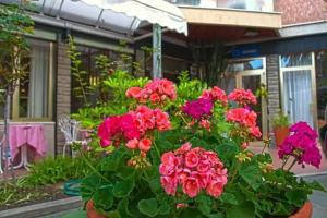 Park Hotel Castello, Финале-Лигуре