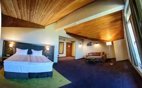 Hot Springs Medical And Spa - 57