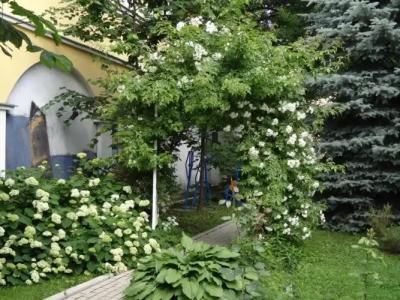 Эрлангенский Дом - 9