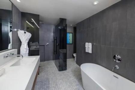 The Statler Dallas, Curio Collection By Hilton - 85