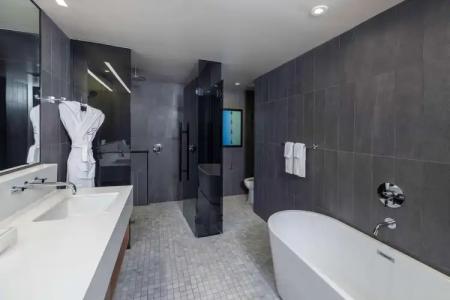 The Statler Dallas, Curio Collection By Hilton - 37