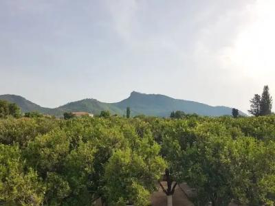 Agva Apart Otel - 19