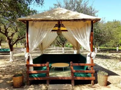 Agva Apart Otel - 18