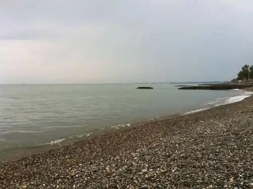 Тея - 9