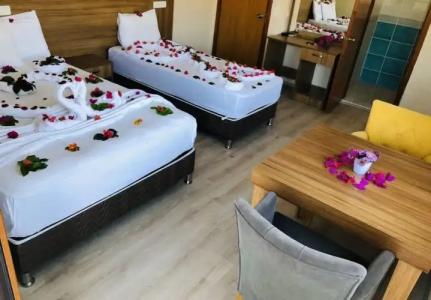 Castello & Aparts - 51