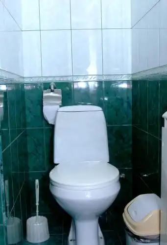 Фьюжн - 52