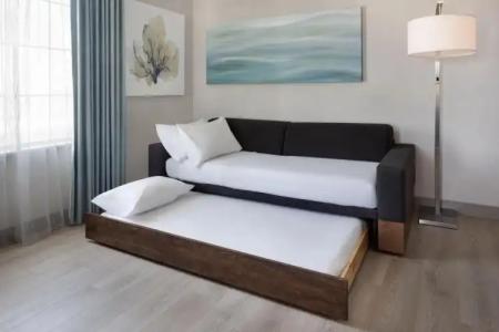 SpringHill Suites by Marriott - 22