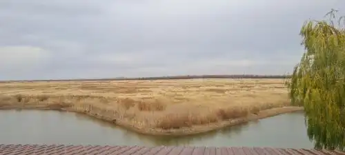 У пруда - 117
