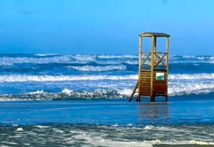 Le Coccinelle di Maria - 10