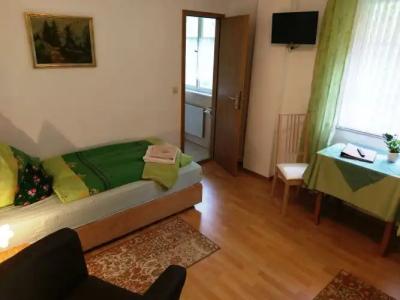 Stahlbad Bad Peterstal - 16