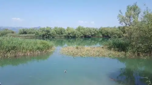 Skadar Lake House Virpazar - 32