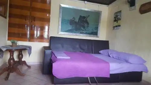 Skadar Lake House Virpazar - 27