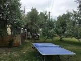Бунгало Делюкс с видом на сад