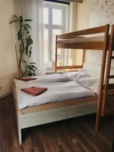 Hostel Sklep - 37