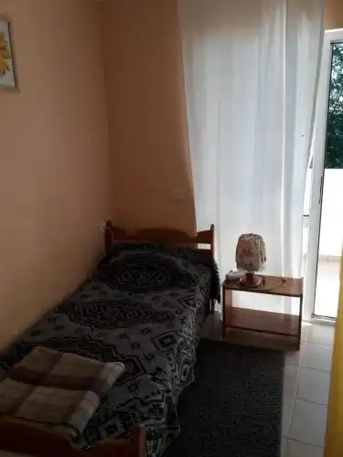 Алиса - 33