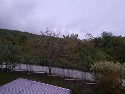 Горная лаванда - 33