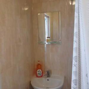 Горная лаванда - 81