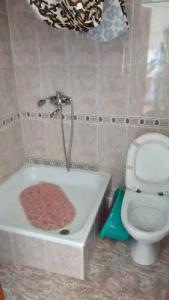 Горная лаванда - 24