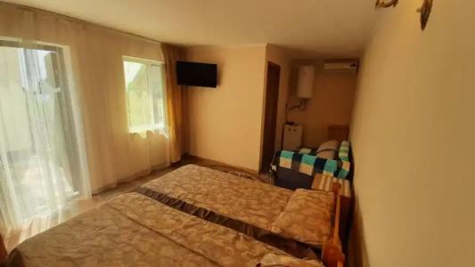 Горная лаванда - 107