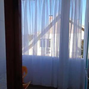 Горная лаванда - 49