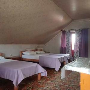 Горная лаванда - 62