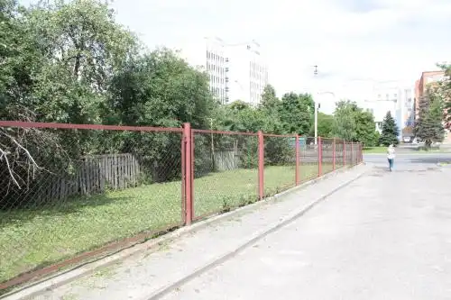 Крокус - 44