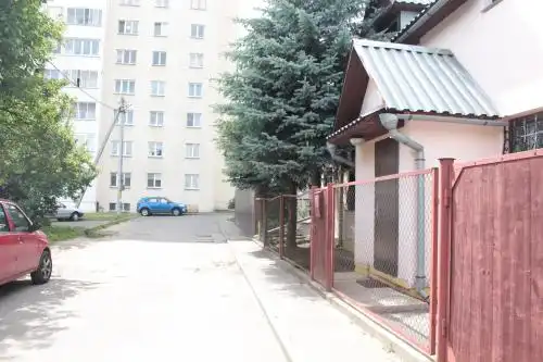Крокус - 51