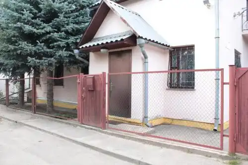 Крокус - 53