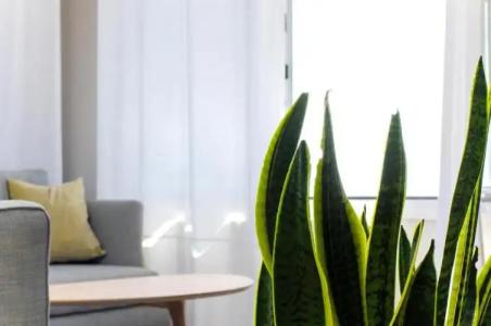 Thea Suites Potidea - 43