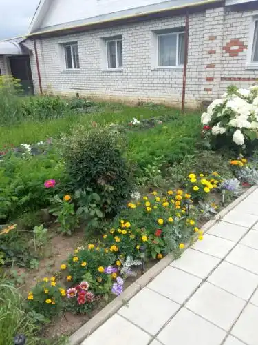 Частный дом на Покровской - 0