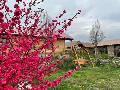 Grig House Eco Resort - 12