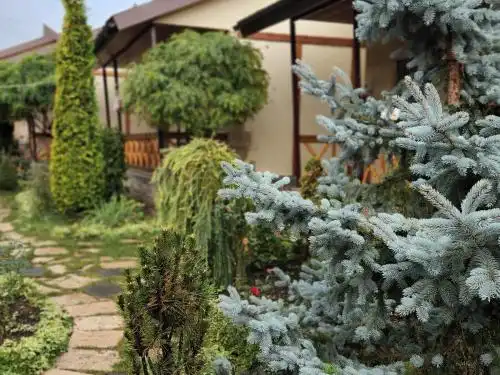 Grig House Eco Resort - 9
