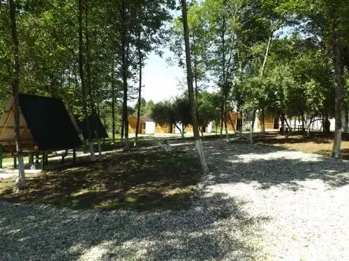 Ассир - 36